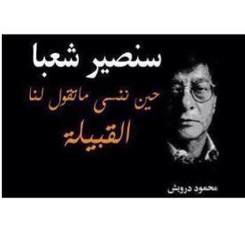 Sabaa Darwish Profile