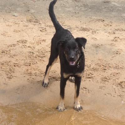 NWarnke's profile picture. she/her