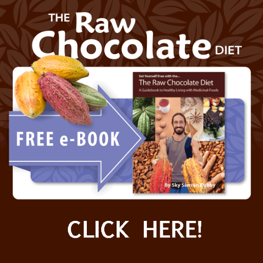 Raw Chocolate Health Benefits You MUST know!