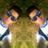 Profile Picture of Lester A. Escobar! ♣ (@@pourcel_alonzo) on Twitter