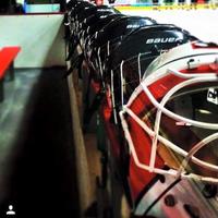 Lake Forest College Women's Hockey(@LFCWomensHockey) 's Twitter Profile Photo