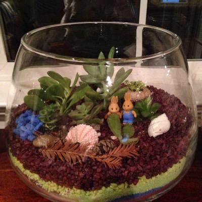 bruincal's profile picture. 