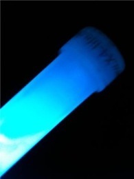 raver08's profile picture. 