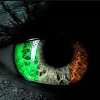 bmur914's profile picture. Fortis Global Partners, LLC; Fortis Global Logistics, LTD