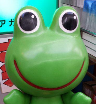 79frog_269's profile picture. 乳酸菌、炭水化物、お菓子、まったりできるカフェ、カエル大好き、蛙じゃない動物も大好き。