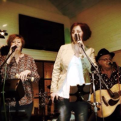 strung_highly's profile picture. Authentic Electro-Acoustic band, covering modern day hits to past classic. unique harmonies, fantastic musicians, breathtaking guitar work, a wildly good time!