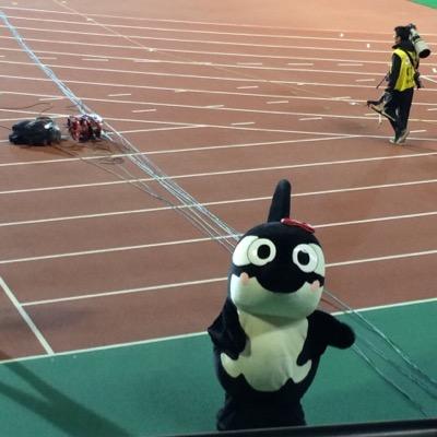 koyasoon's profile picture. こやたんだよぉ