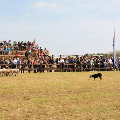 Unieke Buiten-Fair door de boomgaard heen. Genieten-Proeven-Beleven-Winkelen