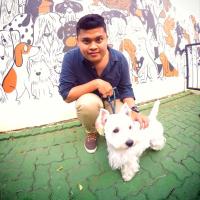 Andreas Andika. P (@andreasandika_p) 's Twitter Profile
