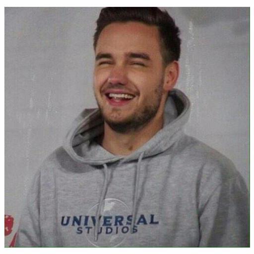 ✘ can’t have a life bc liam payne exists ✘

♡ @alivebcstyles_ ♡