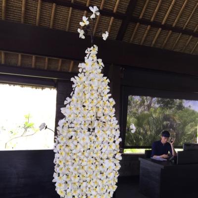 wijaya_168's profile picture. 