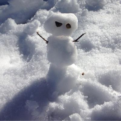 misterruiz's profile picture. 