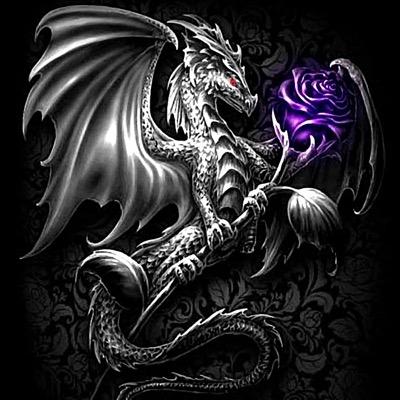 ObaMaSToleMyTV's profile picture. red wings hockey, lions football