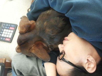 malenkyva's profile picture. inconforme...