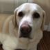 Nancy P (@nancyp88226757) Twitter profile photo Nancy P (@nancyp88226757) Twitter profile photo