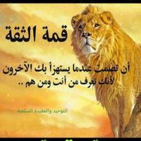 الحارث*جمرة العرب* (@harthim2013) 's Twitter Profile