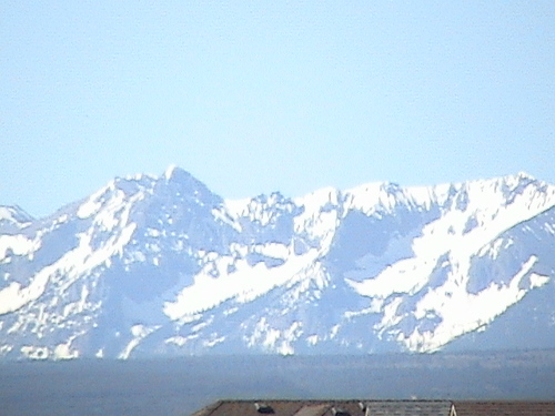 softwarebuzz's profile picture. 