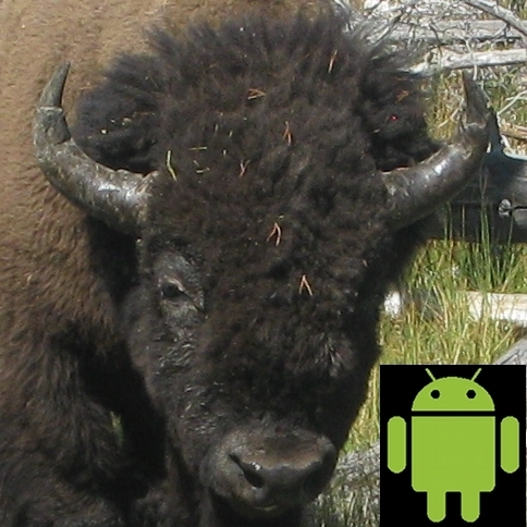 seidojohn's profile picture. A student of life and the Way.