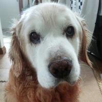 mitsuoっち3号 (@chamame55m) Twitter profile photo