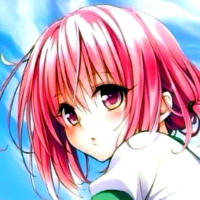 モモ＊すももさんのプロフィール画像