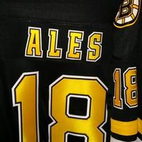 AleS(@BsLegion) 's Twitter Profile Photo