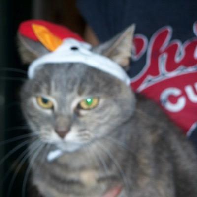 BettyBech's profile picture. Tampico Green Bay Minneapolis Geneva