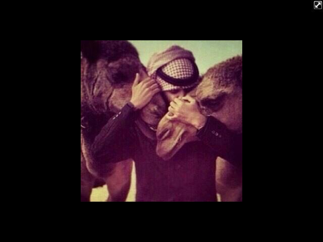 mnoooooooh__20's profile picture. محـــ‘ََبہہ بــدايـــٌهہہ ♡♥24D79929