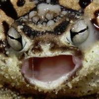 Wasthereonce (@goengar) 's Twitter Profile