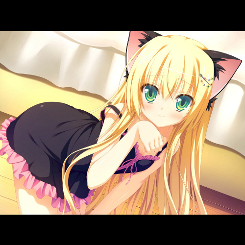 Hi im a cat named Katie and I really need some friends hopefully I can make some with you guys #Taken #Rp