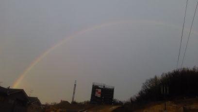 OhanabouA's profile picture. こんにちは✨フォロー100%