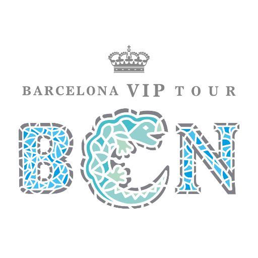 BcnVIPtour Profile Picture