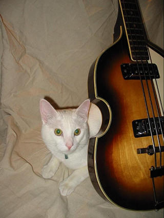 HS1099's profile picture. many college degrees LOL