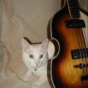 gary honda - @HS1099 - Twitter