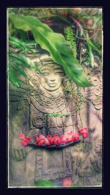 martieinmiam's profile picture. Humanist/ Enviormentalist