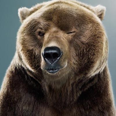 sidemen19's profile picture. Dane - 15
Football, youtube, Xbox 360
