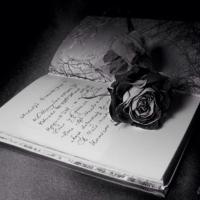 ❗️Restes Anssan❗️ (@nb_h1556) 's Twitter Profile