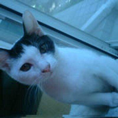 新（sincraft）さんのプロフィール画像