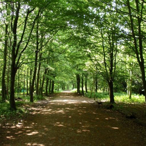 Charlie_14's profile picture. 