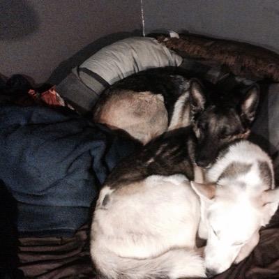 Ryskin32's profile picture. http://t.co/ROjcTvwb2A #TeamScorpio  snapchat: brandon_ryskin