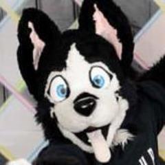 buddy himynameisbuddy twitter