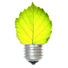 renewnewsru's profile picture. 