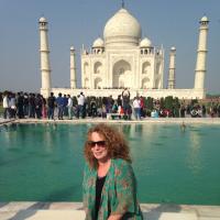 Donna Taberer (@donnataberer) 's Twitter Profile