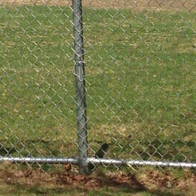 Iucafl's profile picture. • fuck what you think •