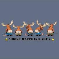 MooseProjectTV (@mooseprojecttv) 's Twitter Profile