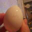 Perihanc Mihrican (@008325d21c89423) Twitter