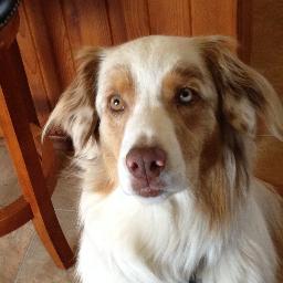 Charlot44985945's profile picture. 