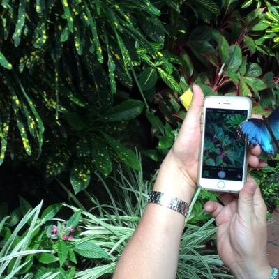 Wiliandro2's profile picture. 