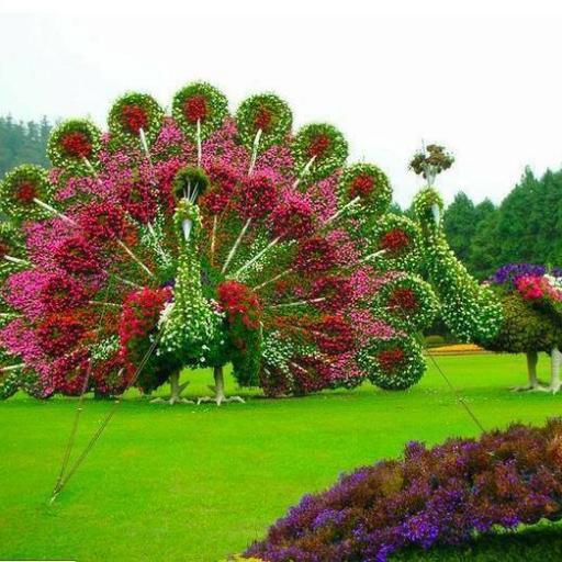 sheillaverhelst's profile picture. Docente UCV
Con Cristo como norte y camino. María cubriendonos con su manto