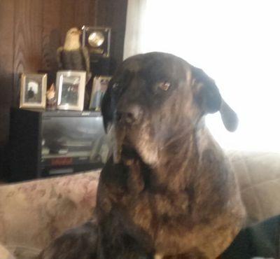 DawnPasko's profile picture. 