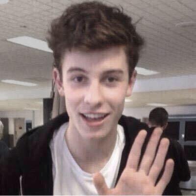 ❁ i’m here for support shawn mendes because he are my everthing, he saved me, make me happy and complete my life. ❁